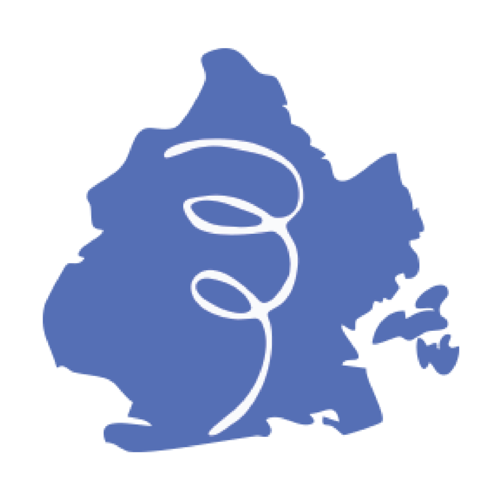 An outline of the NYC borough of Brooklyn, filled in with blue and embellished with a white swirl.